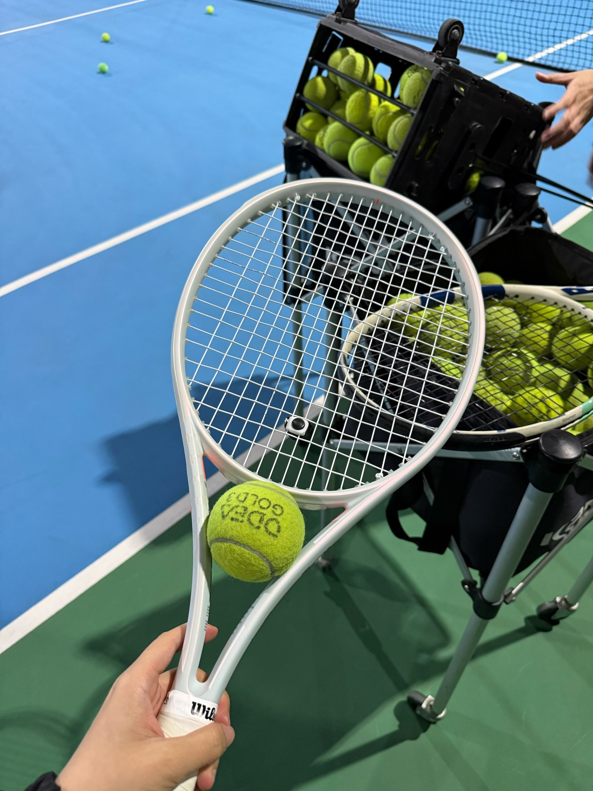 圆石滩配对赛斯塔卡次轮领先 小麦T13舍夫勒