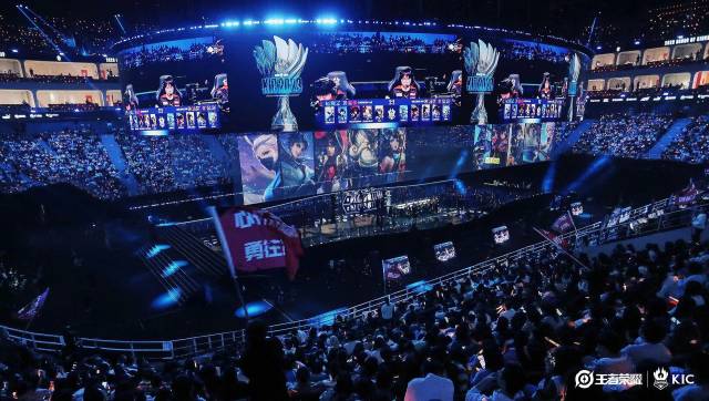 对青岛男篮 对青岛男篮